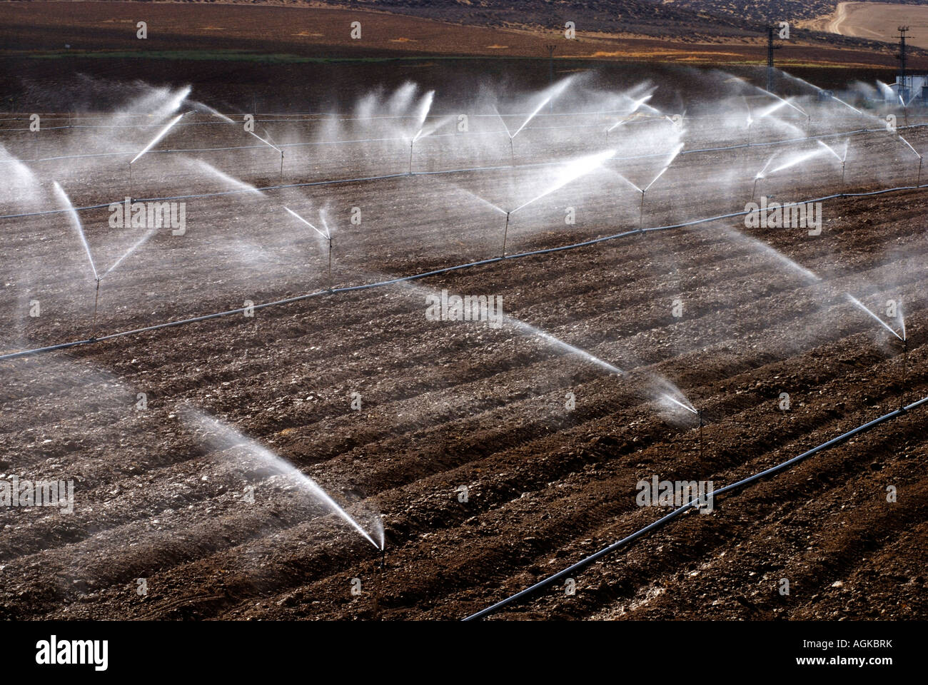 Israele Negev campi di irrigazione con sprinkler Foto Stock