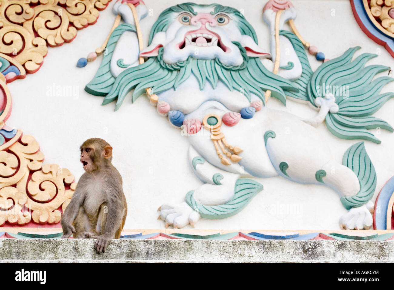 Scimmia macaco infront di buddista tibetana neve leone statua della pittura. Stupa Swayambhu, Kathmandu, Nepal Foto Stock