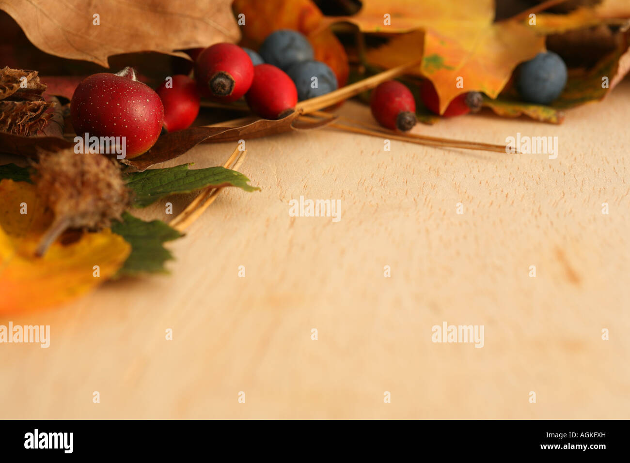 Autunno bacche e foglie nature Autumn harvest naturale ingredienti alimentari Foto Stock