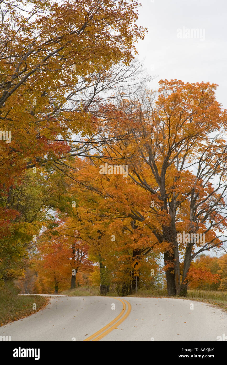 I colori dell'autunno in ottobre in Door County, WI Foto Stock