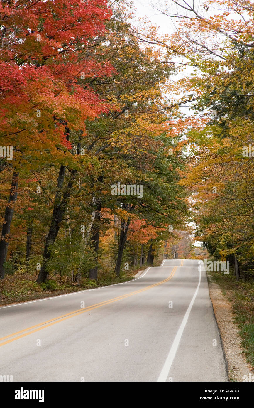 Tratto di strada appena a ovest di sbarco dei traghetti che servizi Isola di Washington (Door County) con i colori dell'autunno in ottobre. Foto Stock