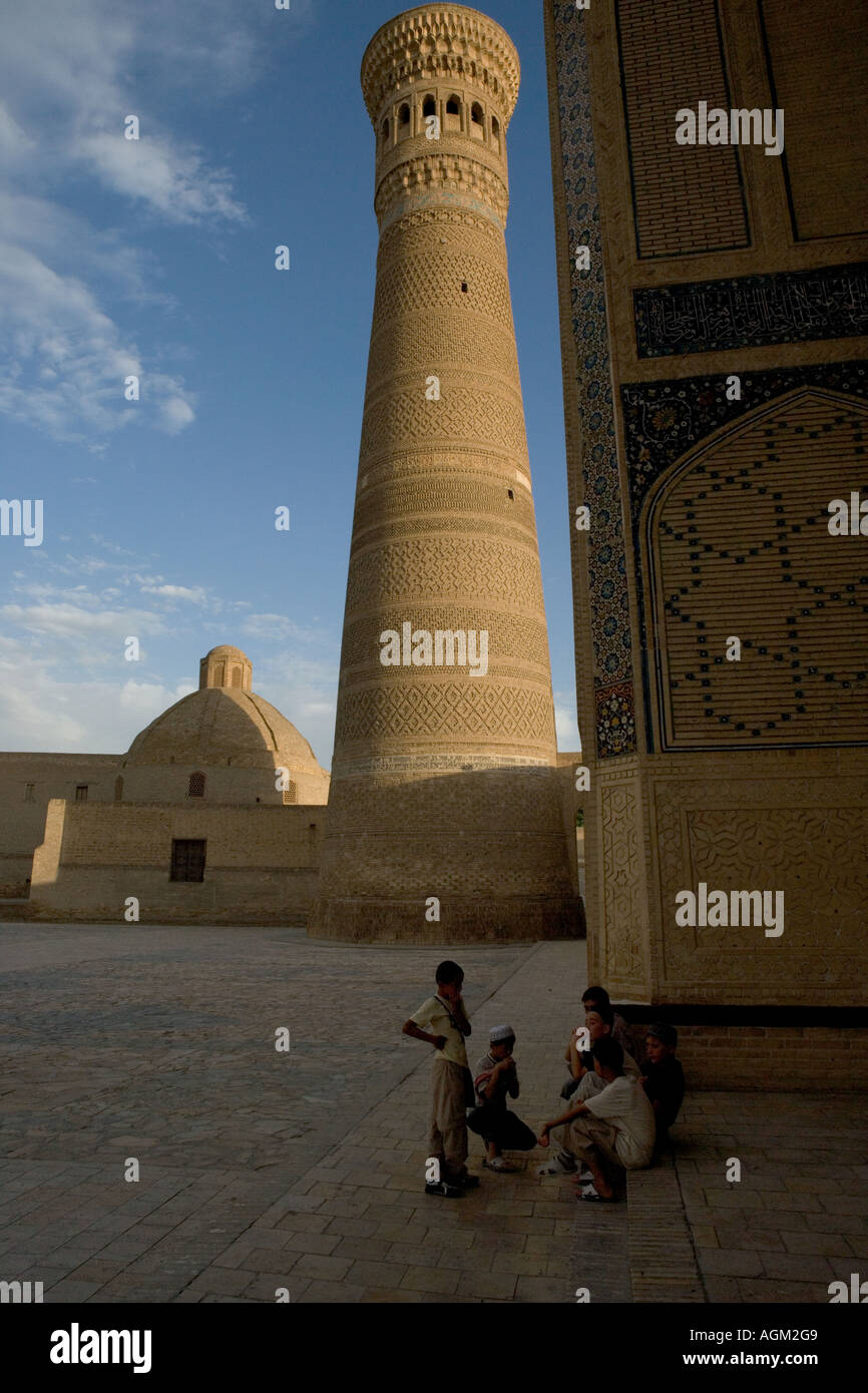 Uzbekistan Bukhara, minareto Kalon, Foto Stock