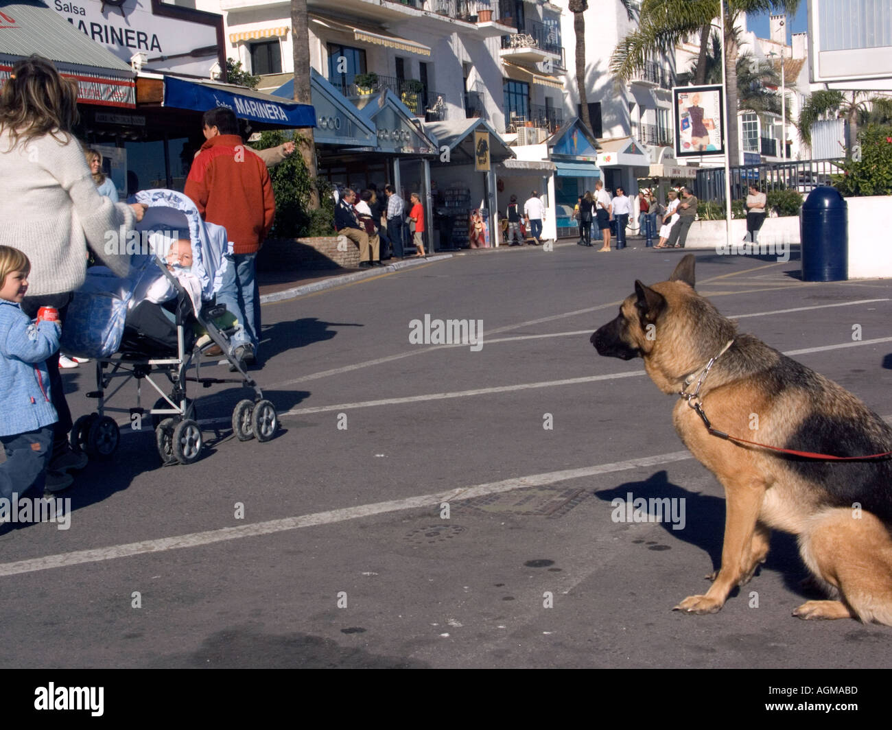 Alsaziano tedesco il cane pastore e la folla a Puerto Banus Costa del Sol Spagna Foto Stock