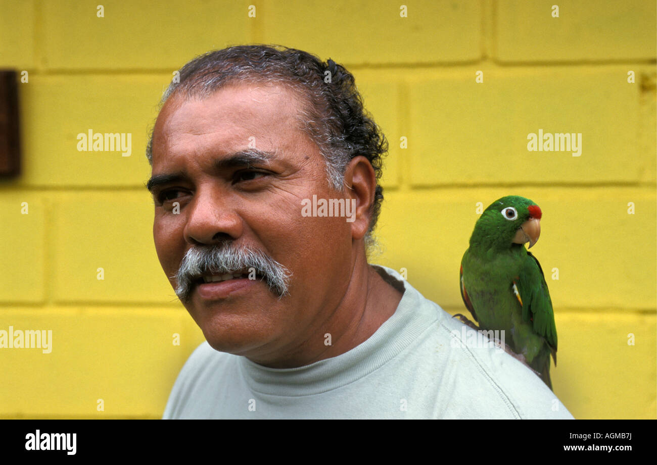 Costa Rica Puerto Limon pappagallo seduto sulla spalla dell'uomo Foto Stock