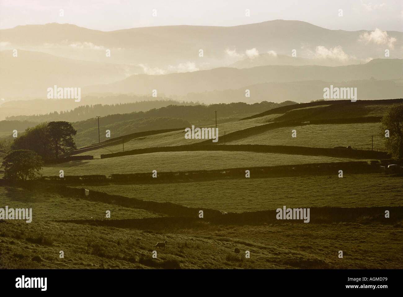 Misty campi e colline al crepuscolo Cumbria Foto Stock