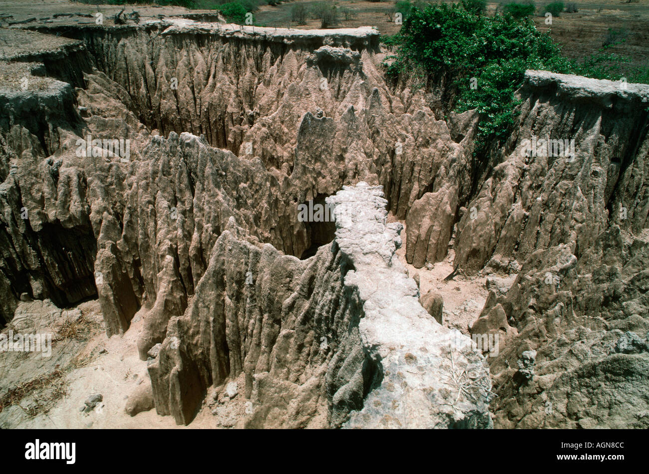 Ampia erosione del suolo con conseguente perdita della copertura della vegetazione a nord Luangwa National Park in Zambia Foto Stock
