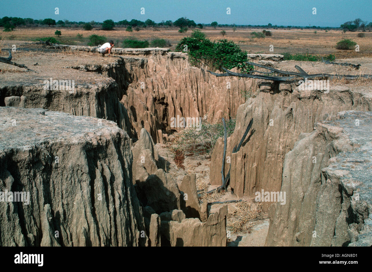 Ampia erosione del suolo con conseguente perdita della copertura della vegetazione a nord Luangwa National Park in Zambia Foto Stock