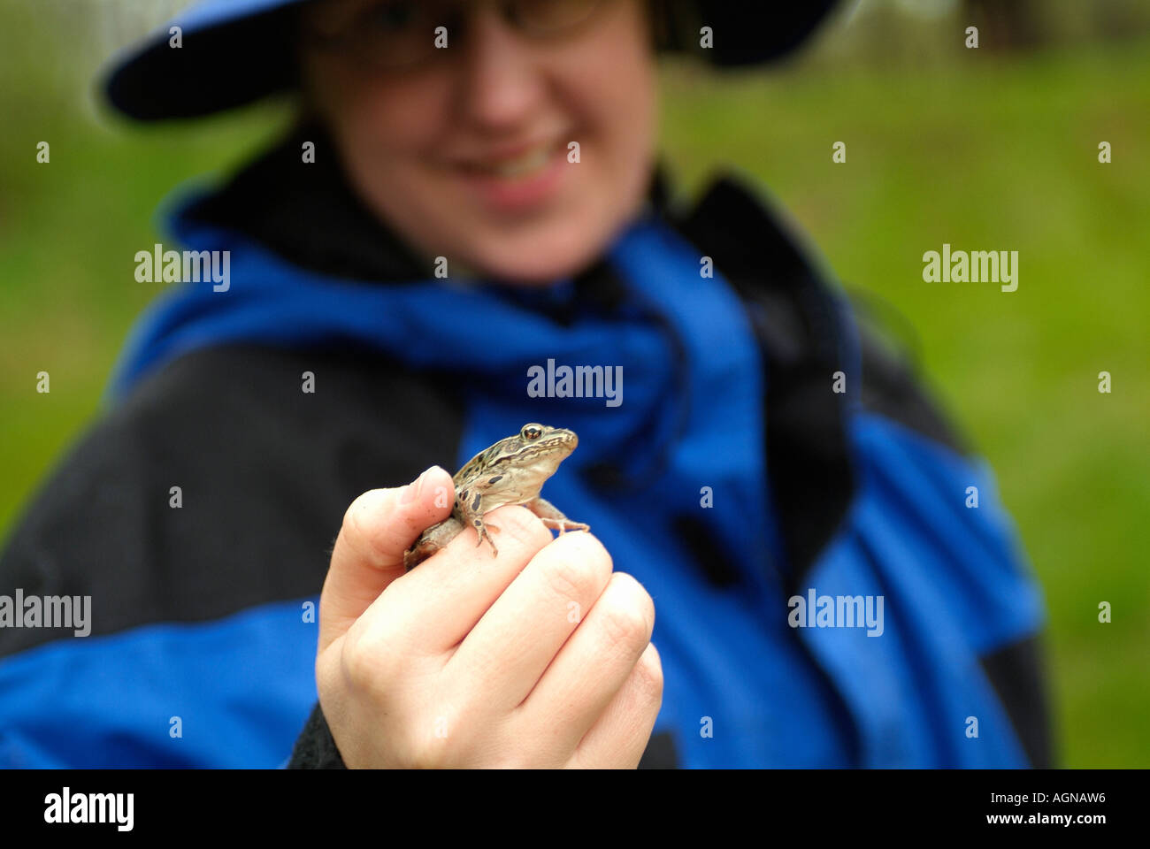 Donna che mantiene un nord di Leopard Frog Rana pipiens chiamato anche il prato o erba Rana Foto Stock