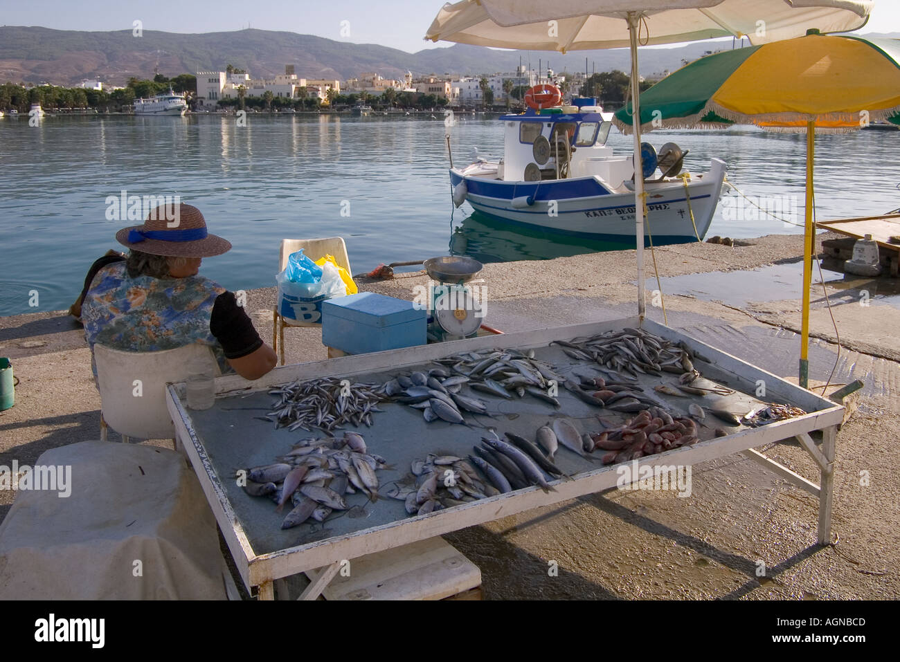 Dh porto della città di Kos Grecia KOS Donna venditore di pesce sotto ombrellone pesca barca in porto Foto Stock