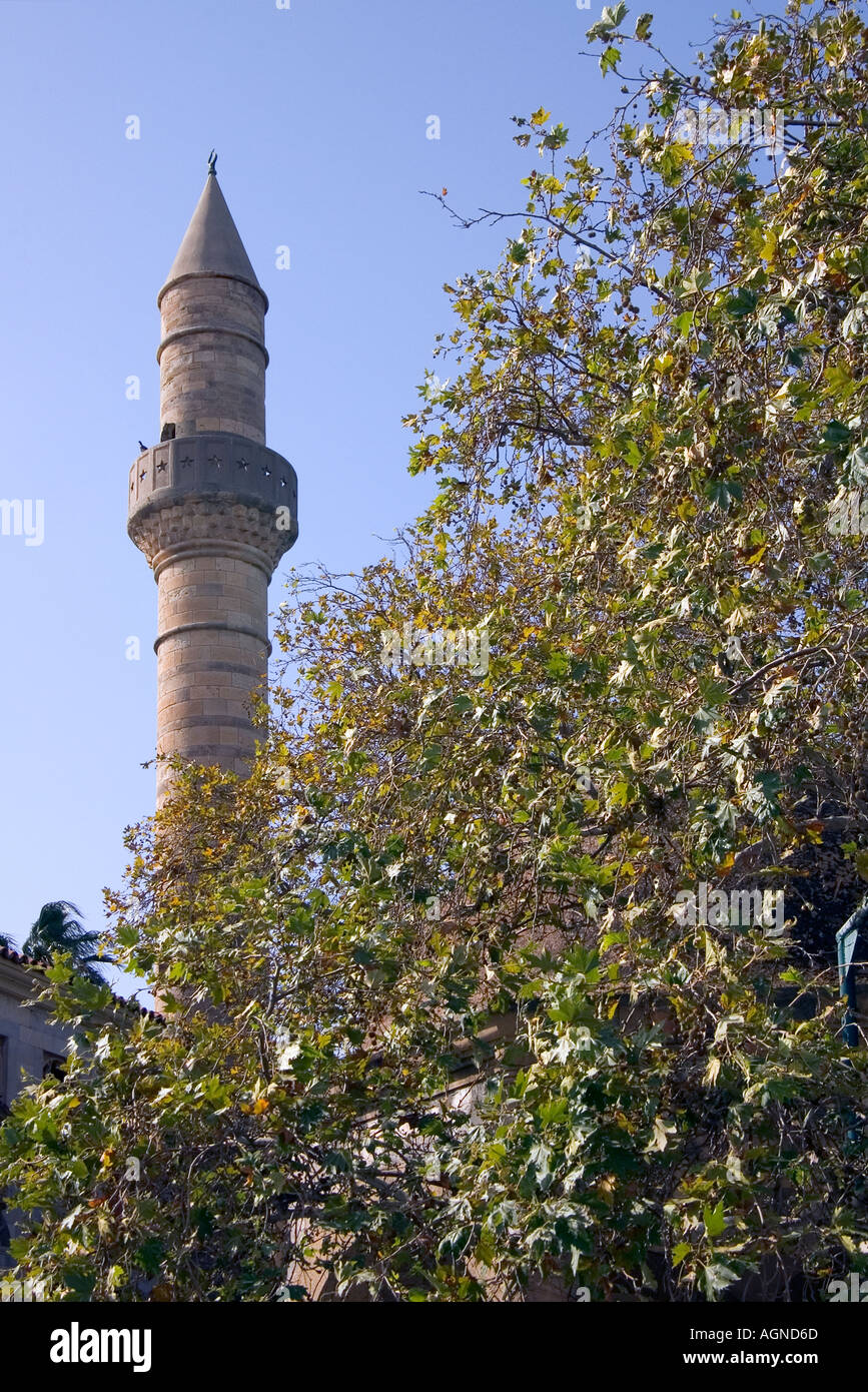 dh Hajji Hasan Moschea torre KOS CITTÀ GRECIA KOS aereo Albero di Ippocrate defterdar minareto preghiera torri islam fede musulmana Foto Stock