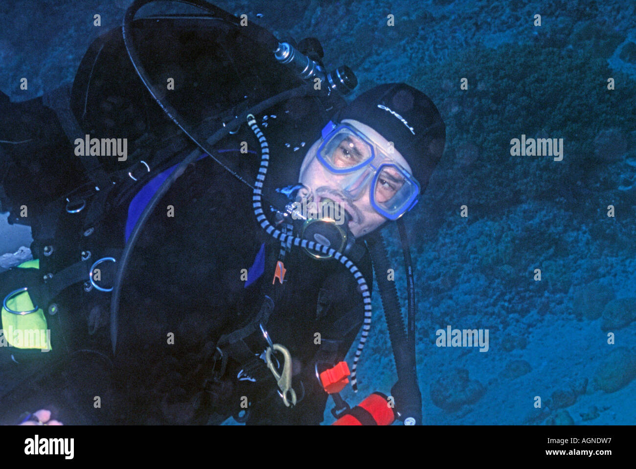 Subacqueo con velenosi mare nastrati Snake Wakatobi. Indonesia Foto Stock