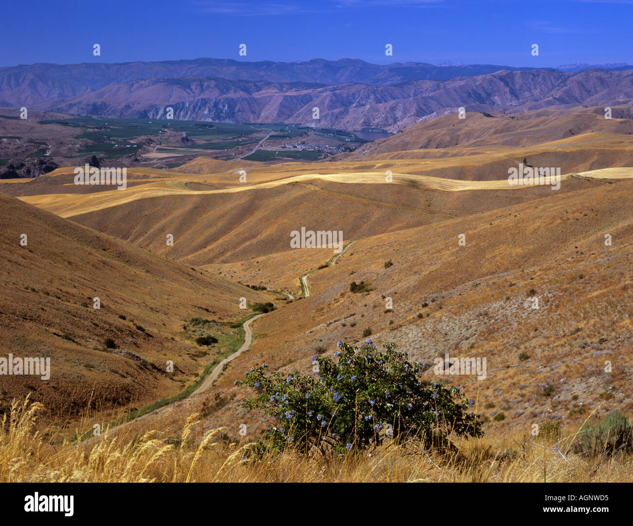 SEMI arido paesaggio da CHELAN BUTTE " Stato di Washington " Stati Uniti d'America Foto Stock