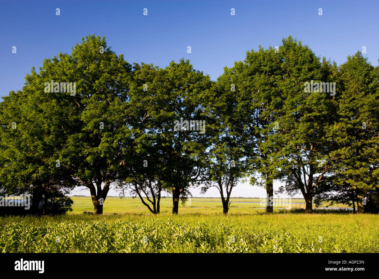 Sawyer s Island Rowley Massachusetts Foto Stock