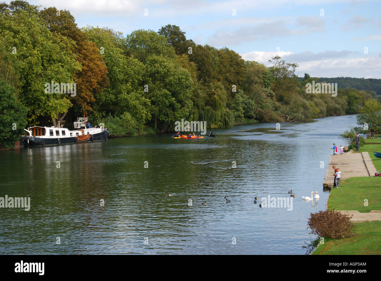 Vista del fiume Tamigi da Whitchurch bridge, Whitchurch-on-Thames, Oxfordshire, England, Regno Unito Foto Stock