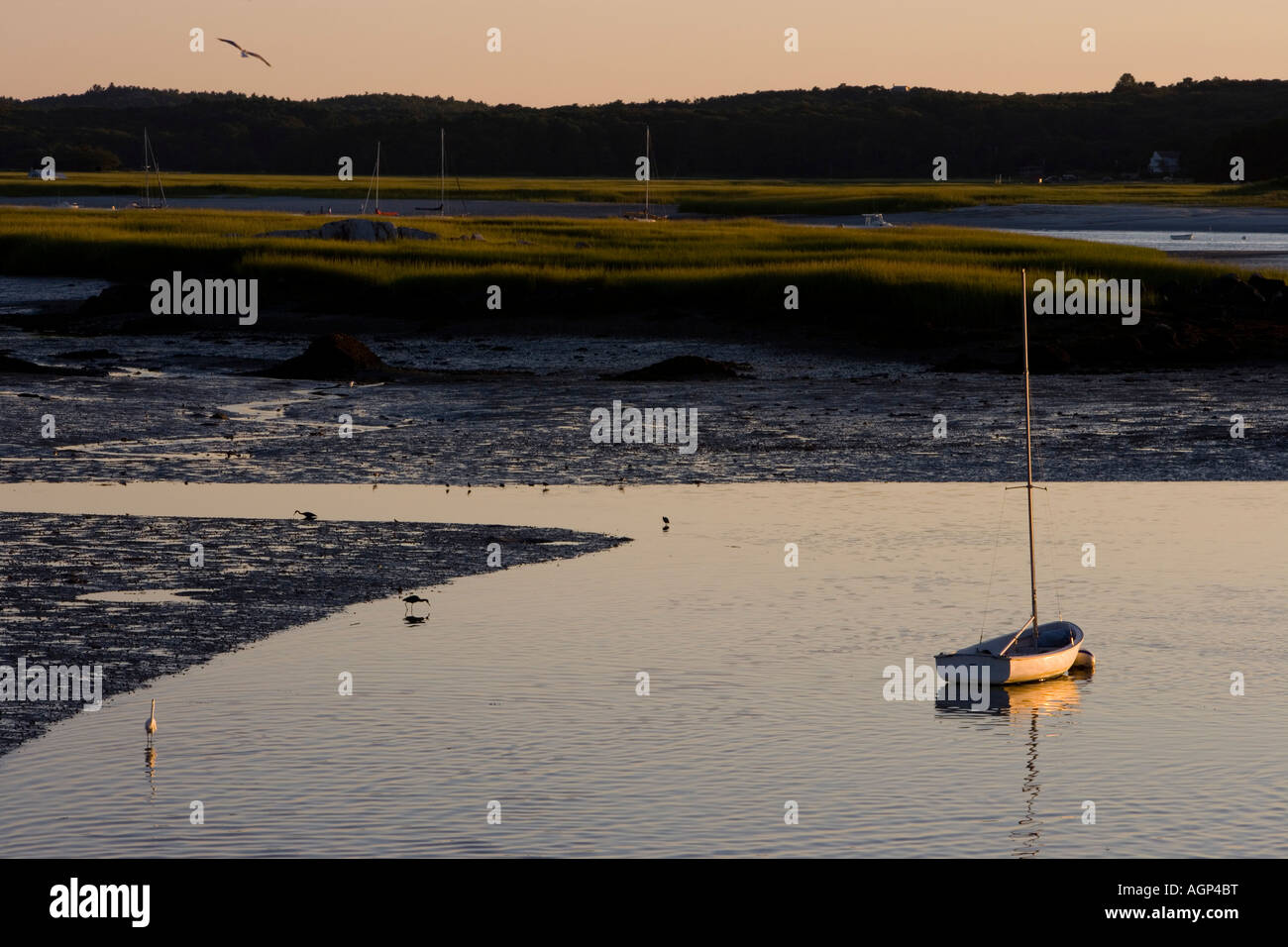 Porto Annisquam in Gloucester Massachusetts USA Foto Stock