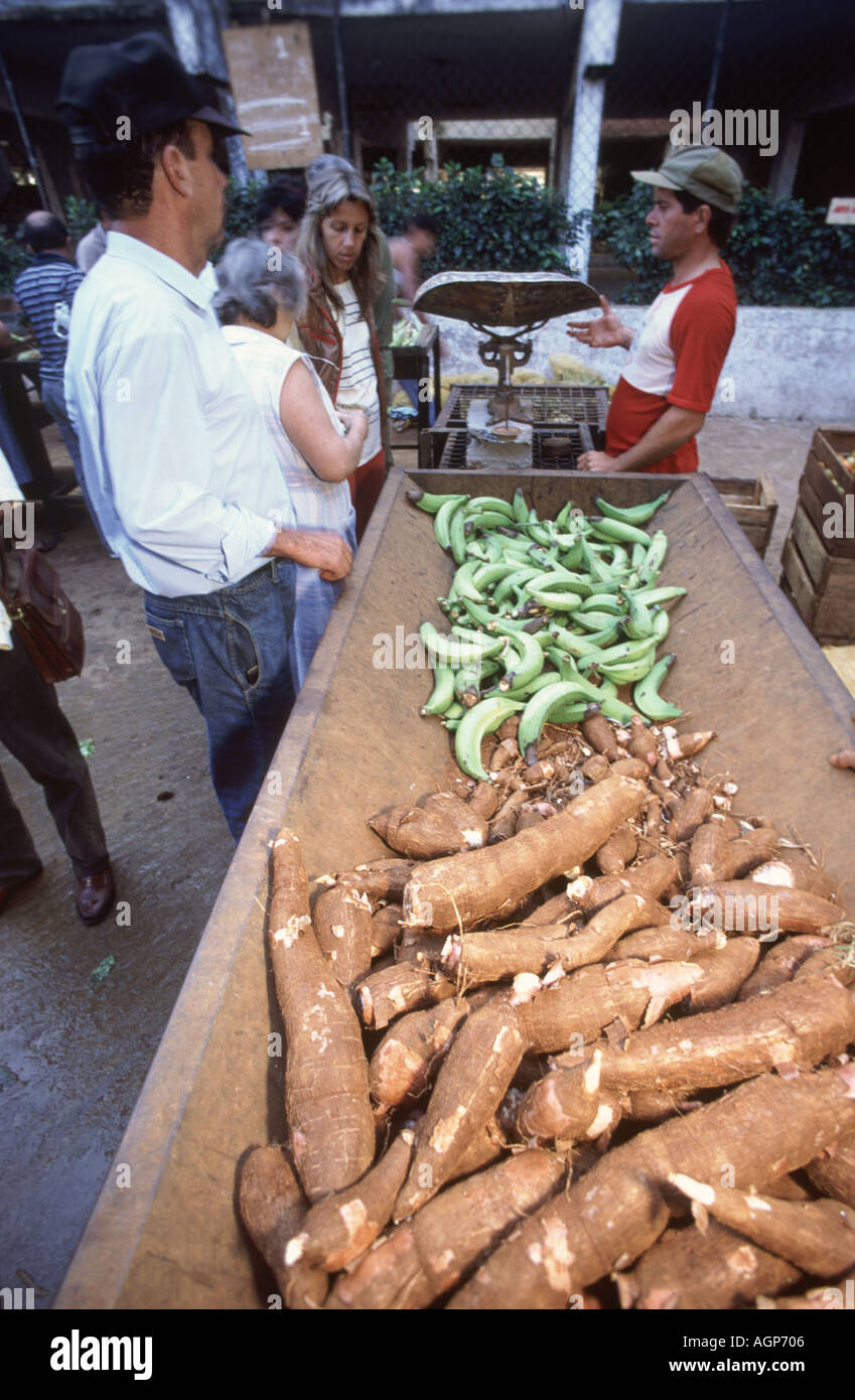 Columbian residenti di Medellin acquistare banane e impianto di Yucca root al mercato all'aperto Foto Stock