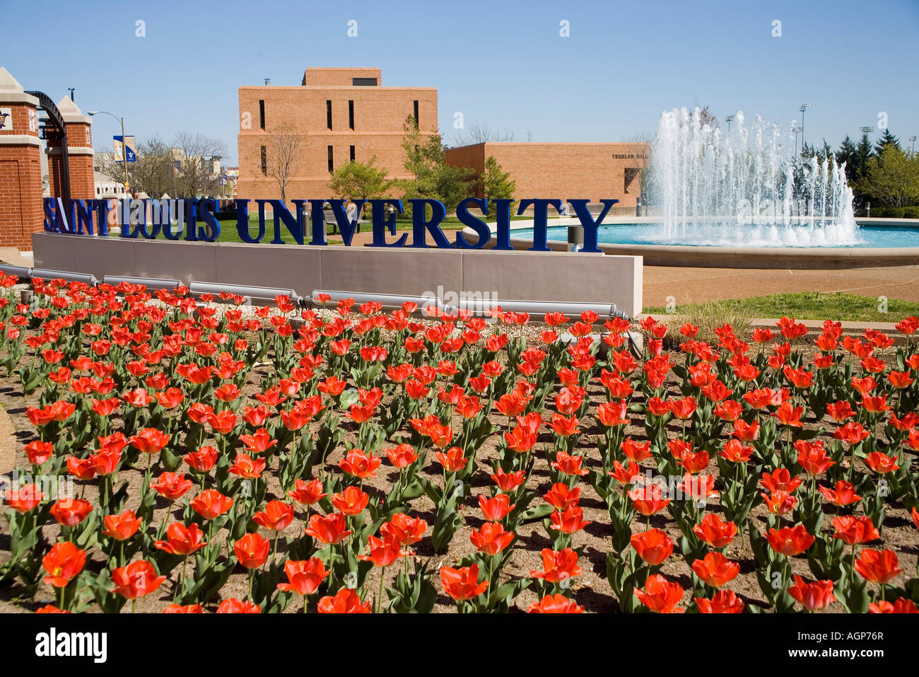 St Louis University campus in primavera con tulipani rossi e una fontana d'acqua. Foto Stock