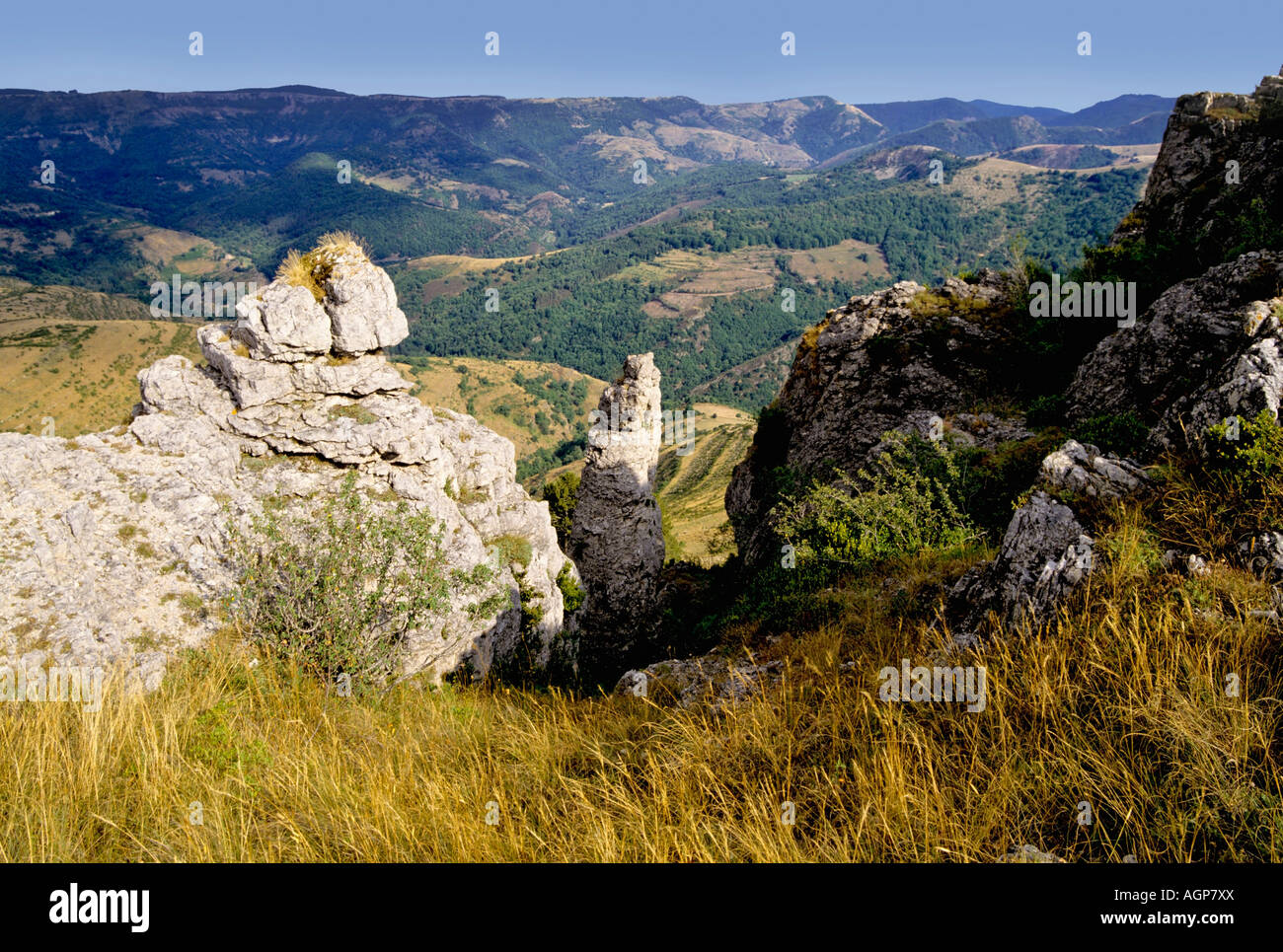 Valle tarnon causse mejean plateau cevennes Foto Stock