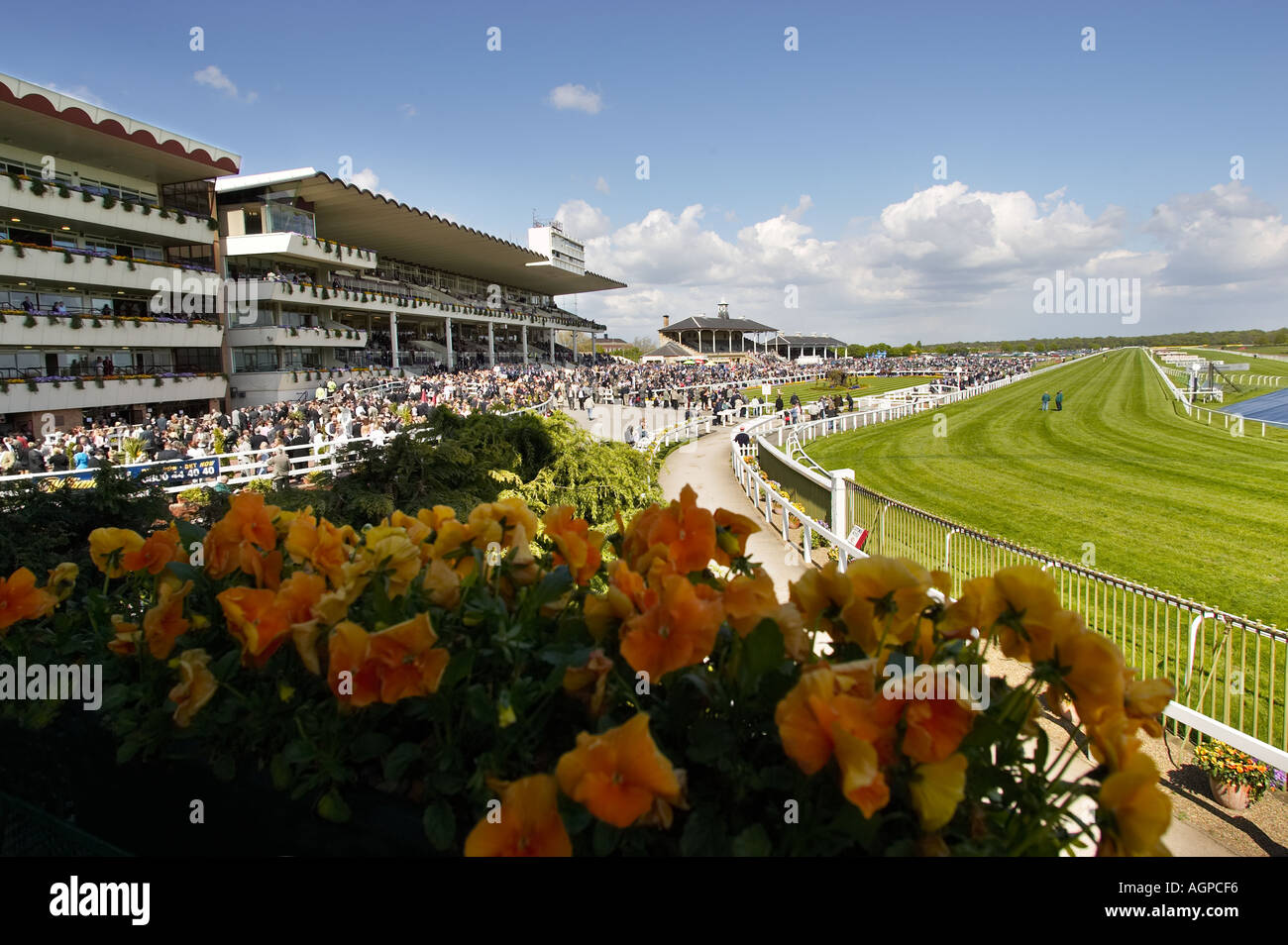 La Tribuna degli edifici a Doncaster Racecourse Yorkshire England Regno Unito Foto Stock