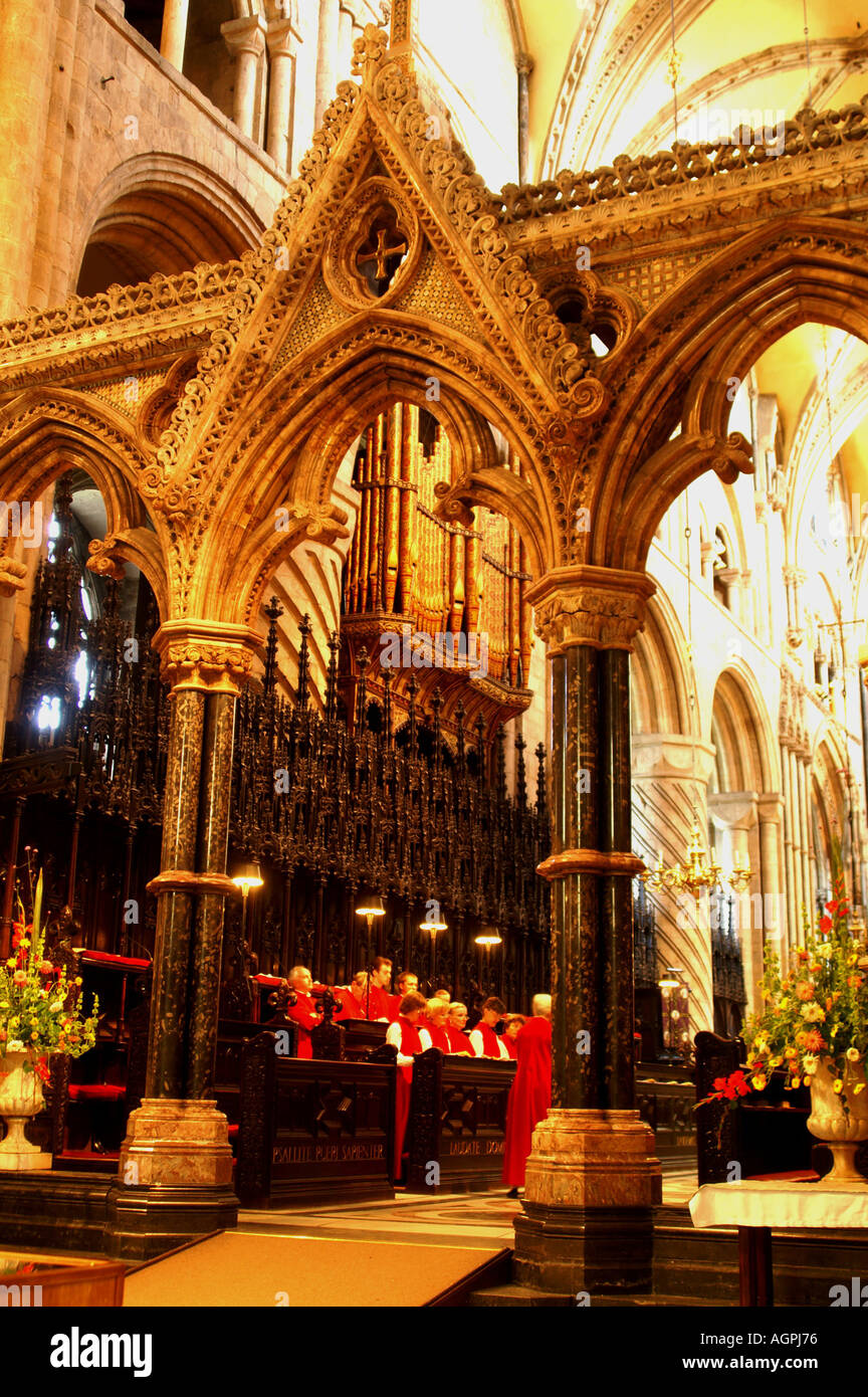 La schermata di coro e organo nella Cattedrale di Durham England Regno Unito Regno Unito Gran Bretagna GB Europa Foto Stock
