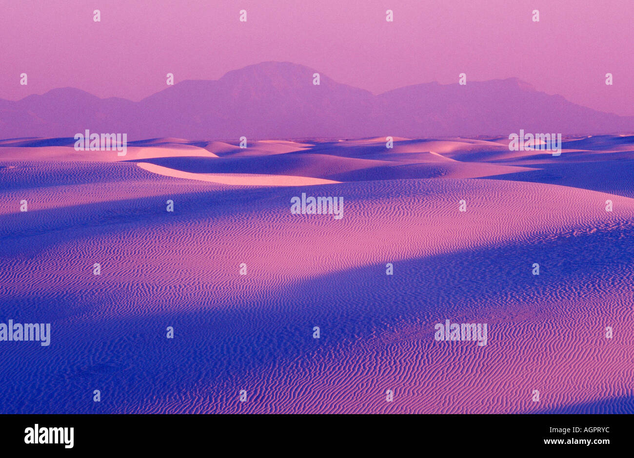 Deserto / White Sands Foto Stock