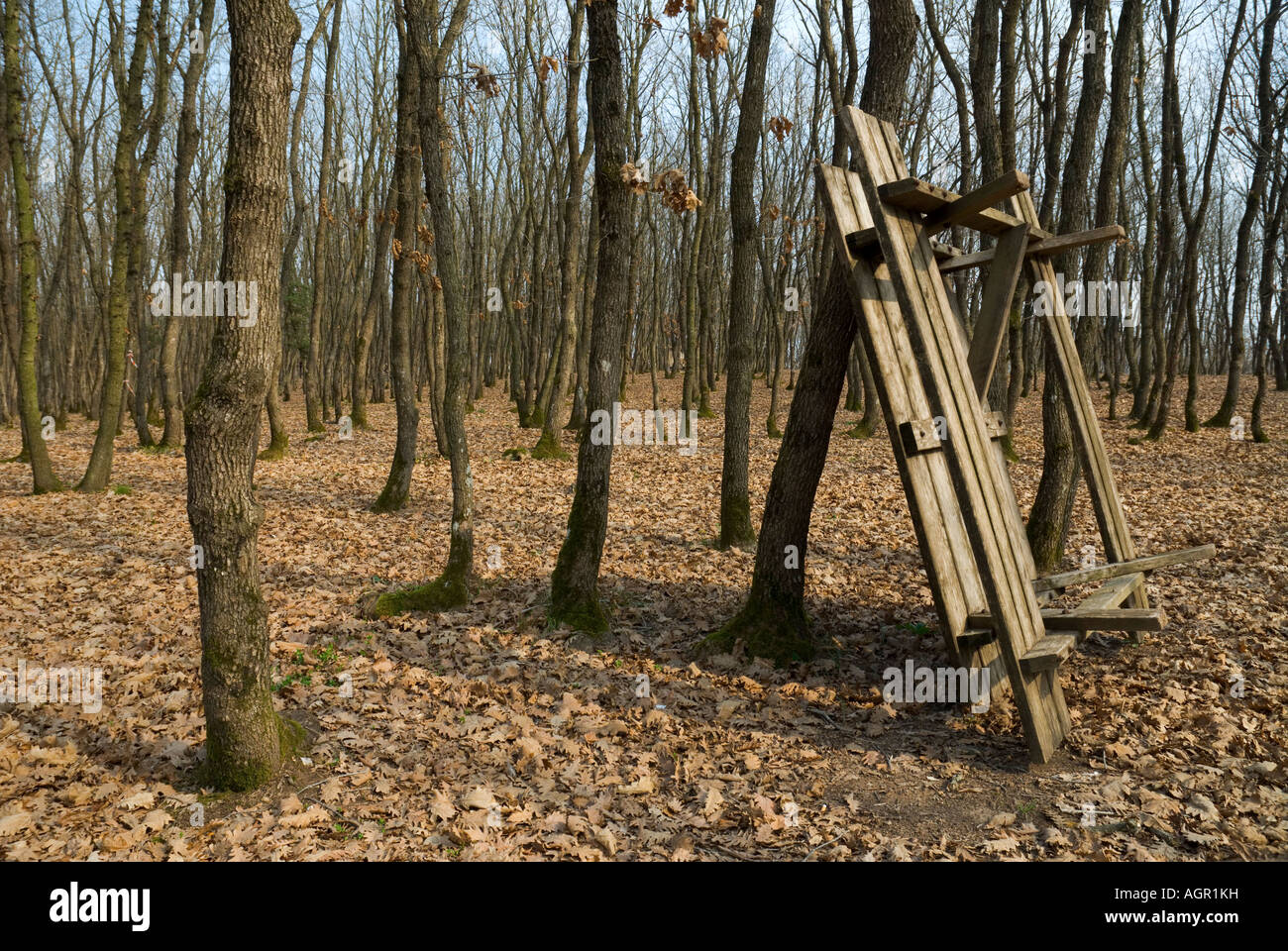 Duzmese Area Picnic in inverno Istanbul Turchia Foto Stock