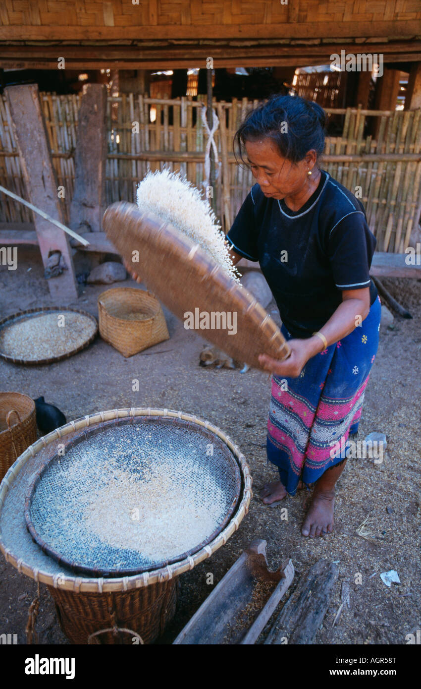 Laos, Luang Namtha, donna di Lao Kamu tribù della collina di riso della trebbiatrice Foto Stock