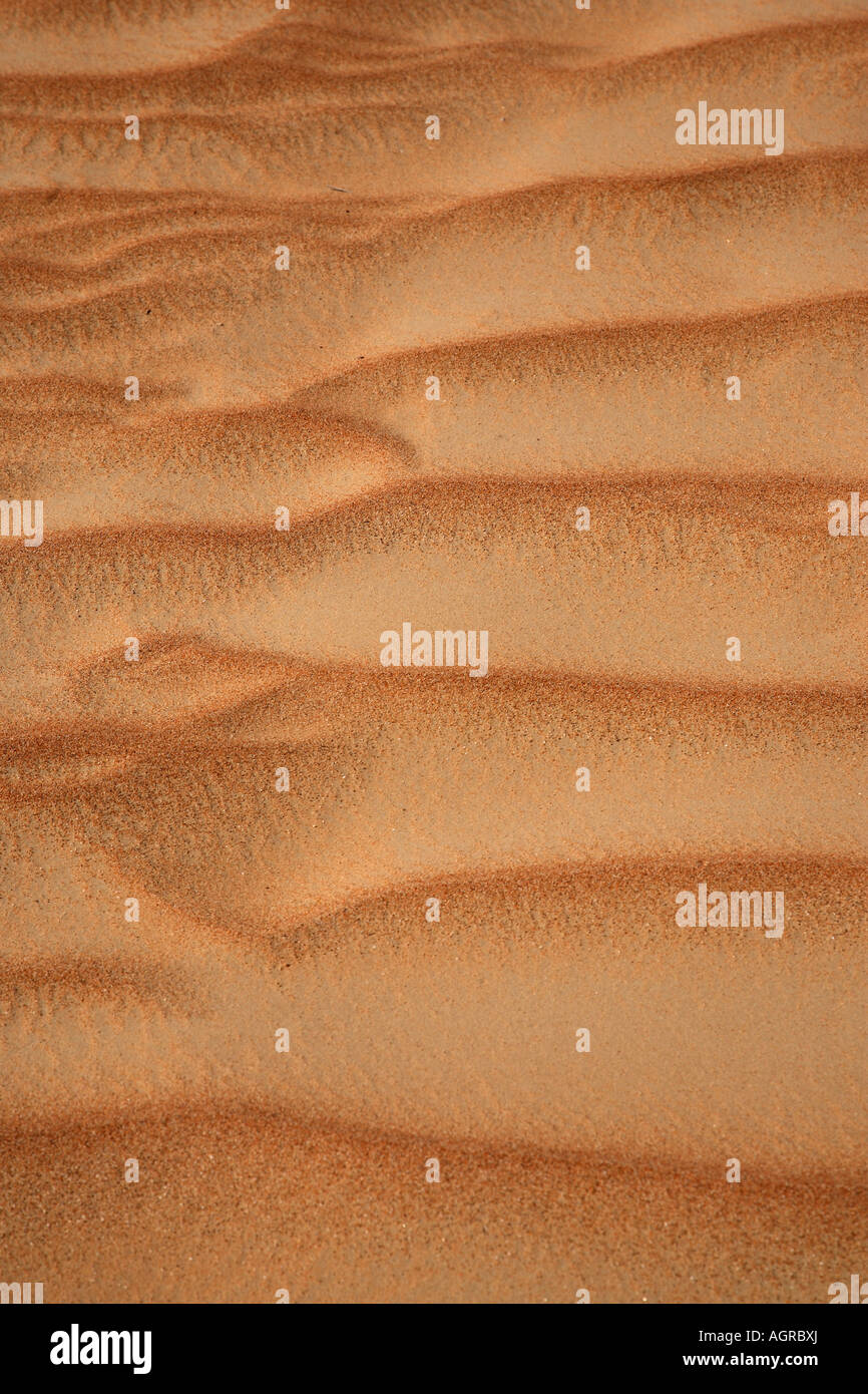 Pattern in duna di sabbia vicino Al Ain Emirati Arabi Uniti EMIRATI ARABI UNITI Foto Stock