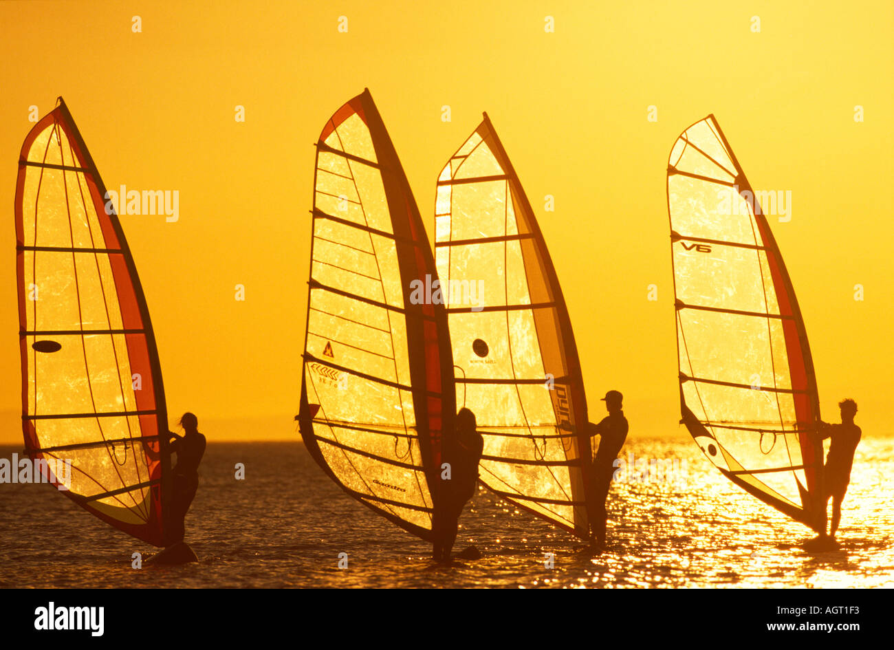 Quattro windsurfisti stagliano nella luce dorata del sole al tramonto mentre la vela sul Mar Rosso il Sinai Egitto Foto Stock