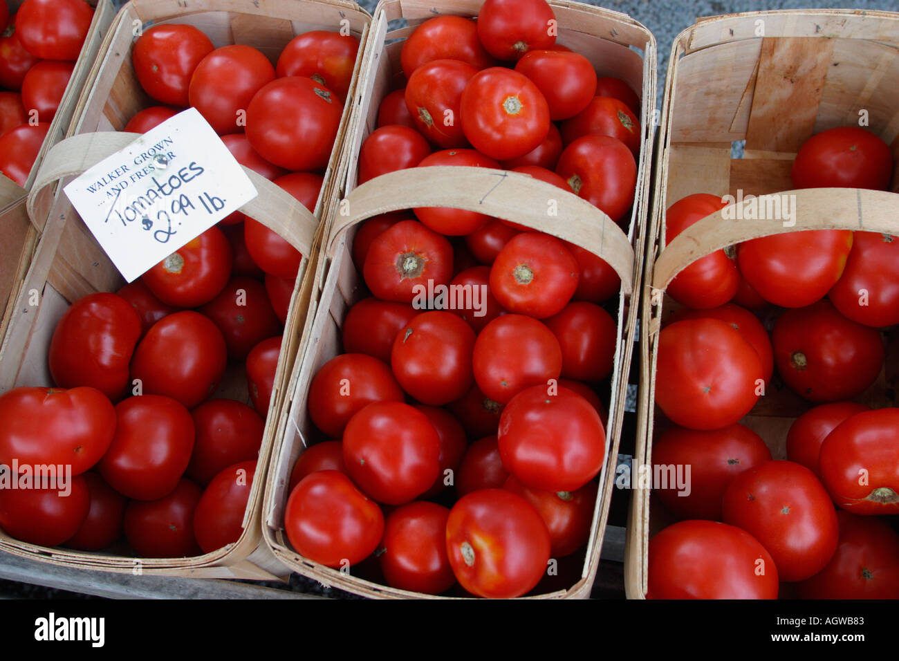 Pomodori alla frutta stand Little Compton Rhode Island Foto Stock