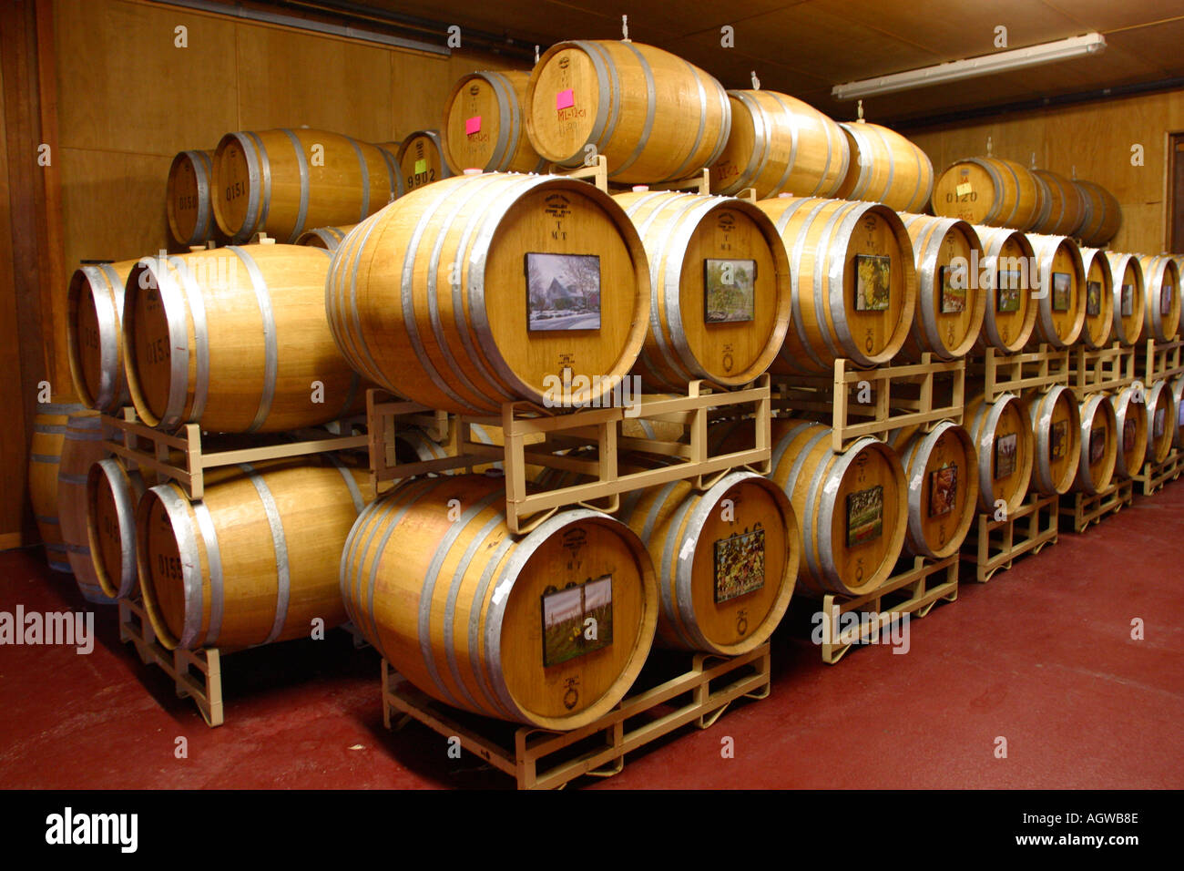 Botti di vino a vigneti Sakonnet Winemakers Little Compton Rhode Island Foto Stock
