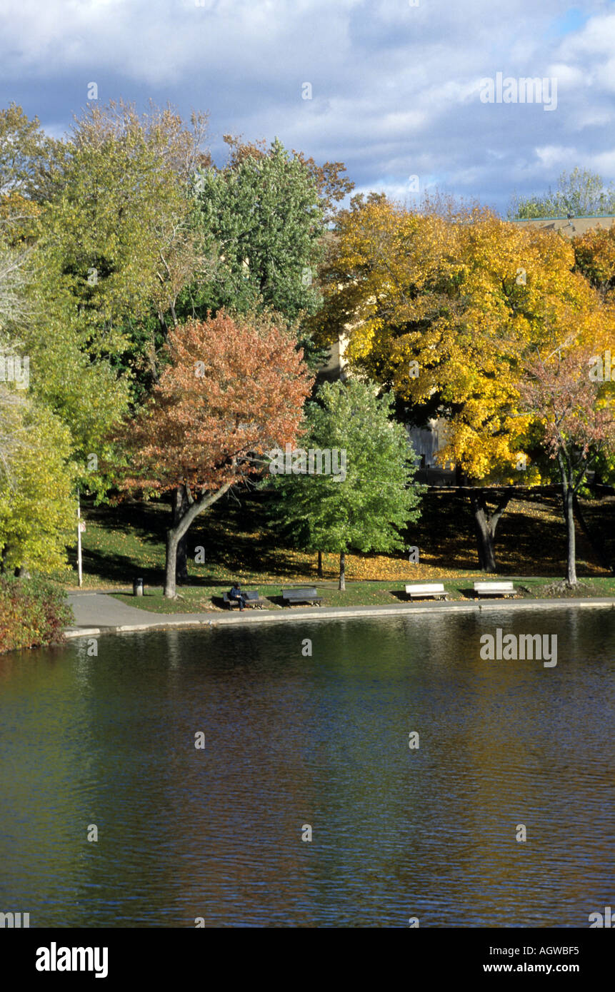 Estate Indiana in lafontaine park nella città di Montreal Québec Canada Foto Stock