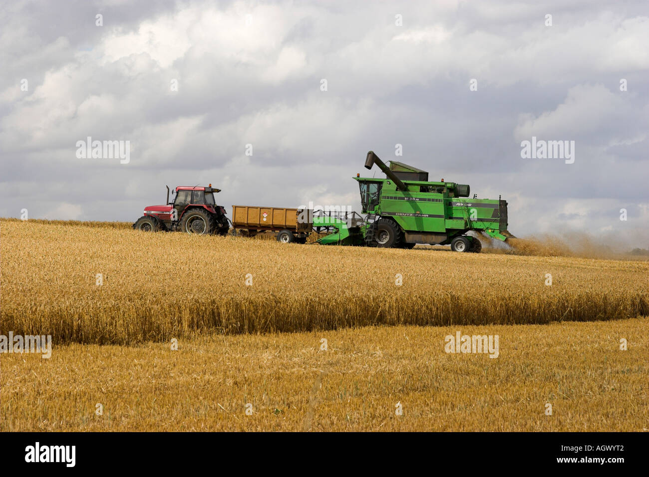 Deutz-Fahr mietitrebbia al lavoro il raccolto di un campo di grano. Herfordshire, Inghilterra Foto Stock