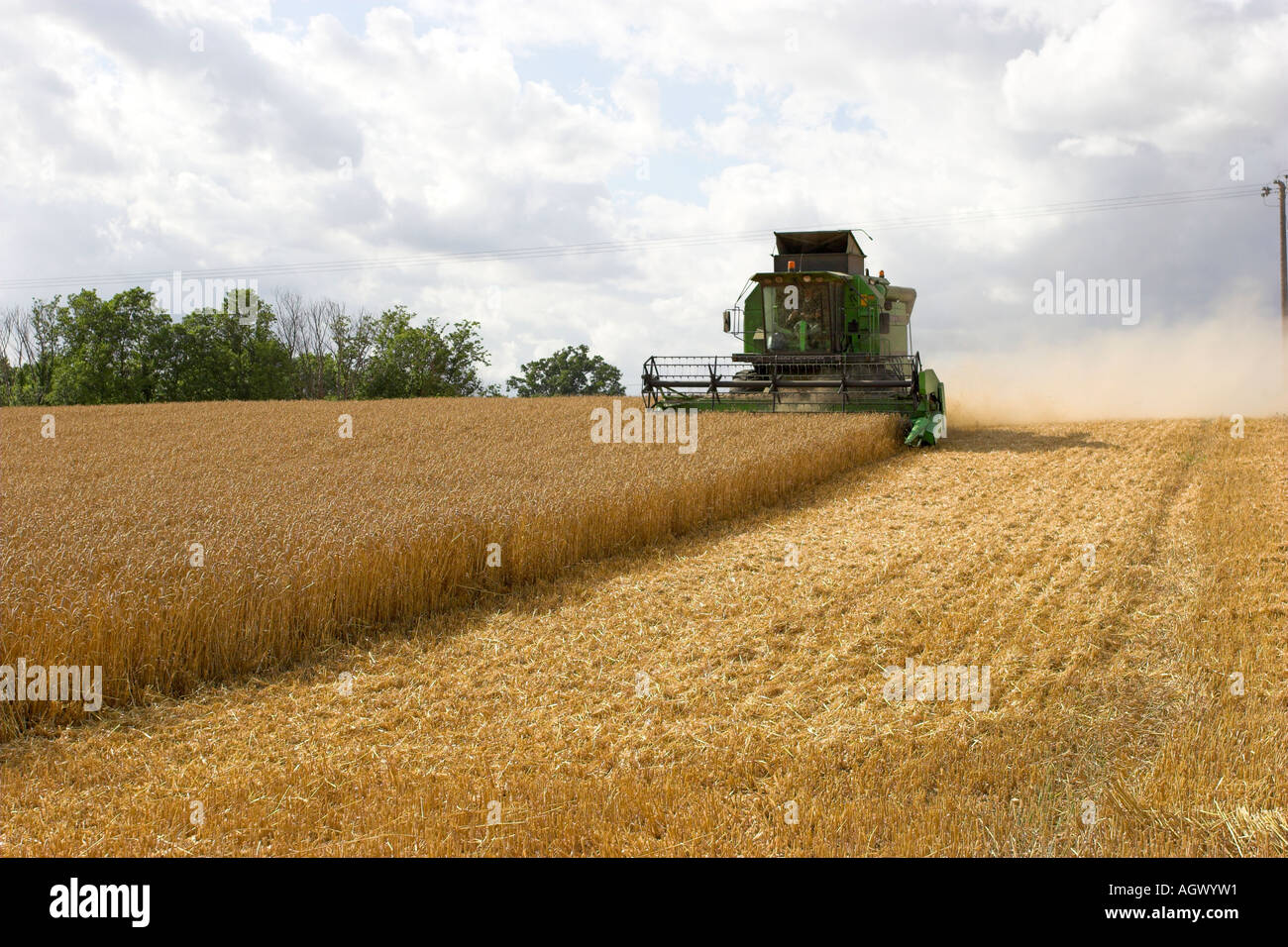 Deutz-Fahr mietitrebbia al lavoro il raccolto di un campo di grano. Herfordshire, Inghilterra Foto Stock