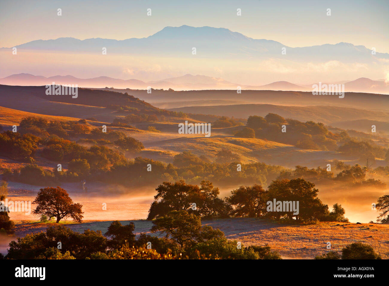 Paesaggio panoramico della Santa Rosa Plateau Riserva Ecologica, Murietta, Riverside County, California, Stati Uniti, STATI UNITI D'AMERICA Foto Stock