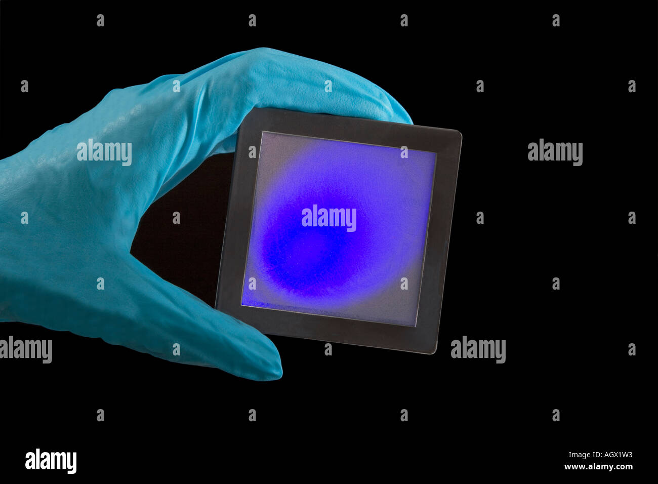 Campione di artificiale pelle in vitro di substrato con Optisol crema di protezione solare in luce blu senza grafico, tenuto in mano Foto Stock