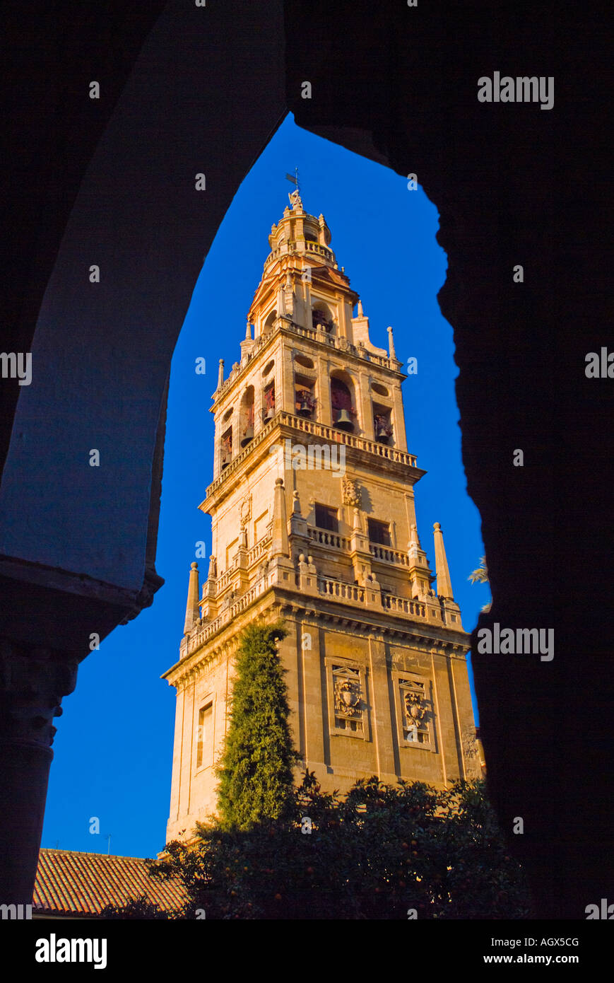 Cattedrale di Cordoba Spagna preso dall'ARANCIO cortile Foto Stock
