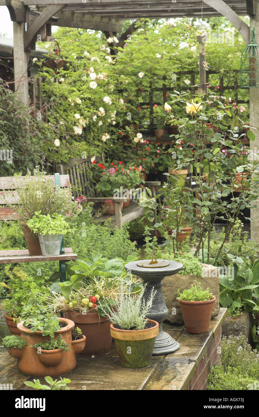 Tradizionale patio giardino con erbe aromatiche in vasi le fragole di giardino sedi meridiana REGNO UNITO Foto Stock