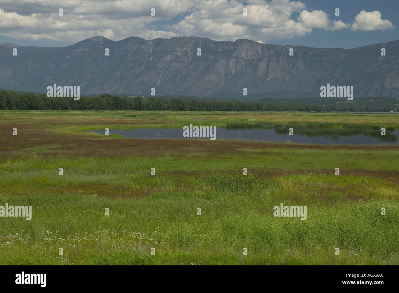 Boundary Creek Wildlife Management Area WMA in Idaho i confini del Canada di Idaho settentrionale Foto Stock