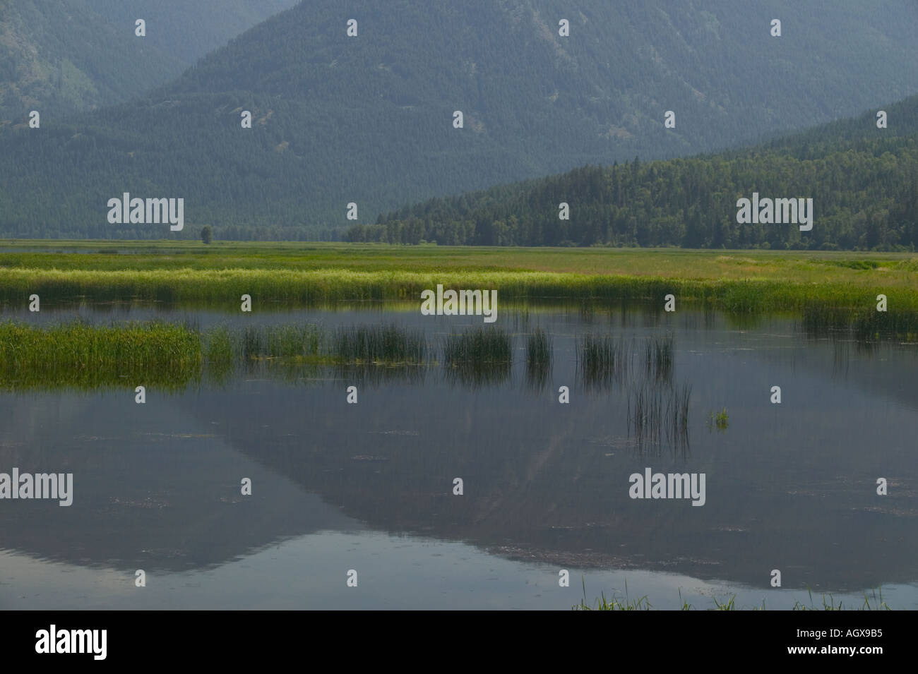 Boundary Creek Wildlife Management Area WMA in Idaho i confini del Canada di Idaho settentrionale Foto Stock