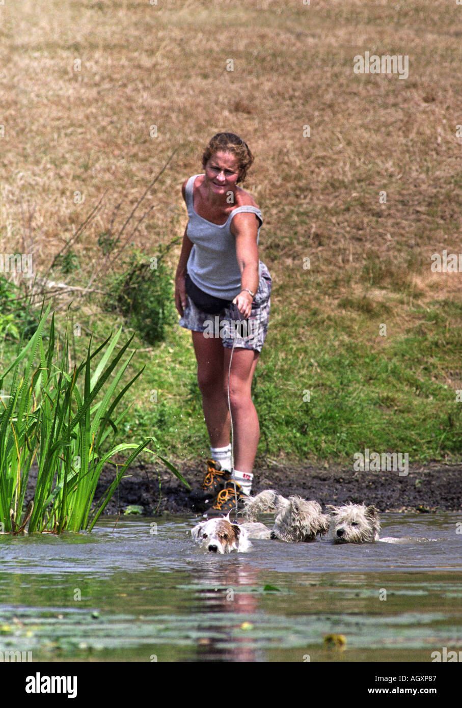 Una donna lascia il suo terrier cani rinfrescarvi presso il DOUBLEPRINT British Horse Trials campionati a GATCOMBE PARK GLOUCESTERSHIRE U Foto Stock