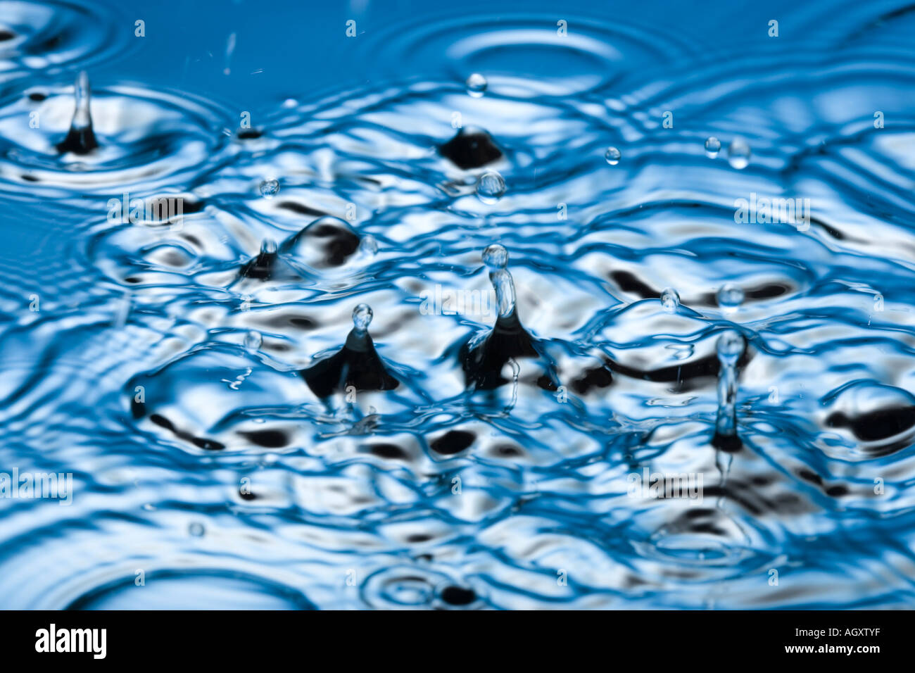 Le goccioline d'acqua Foto Stock
