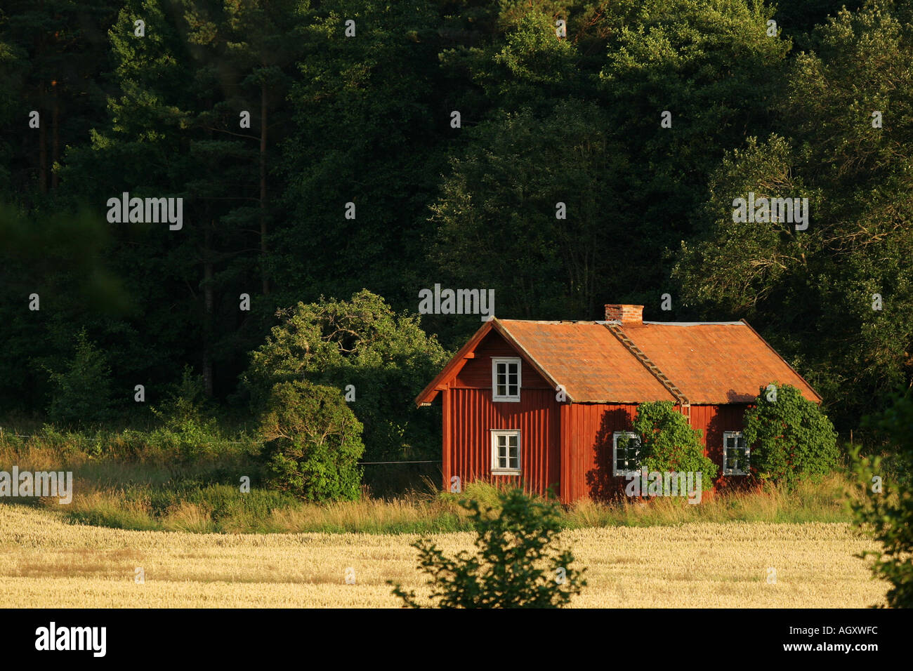 Tipico rosso svedese cottage Foto Stock