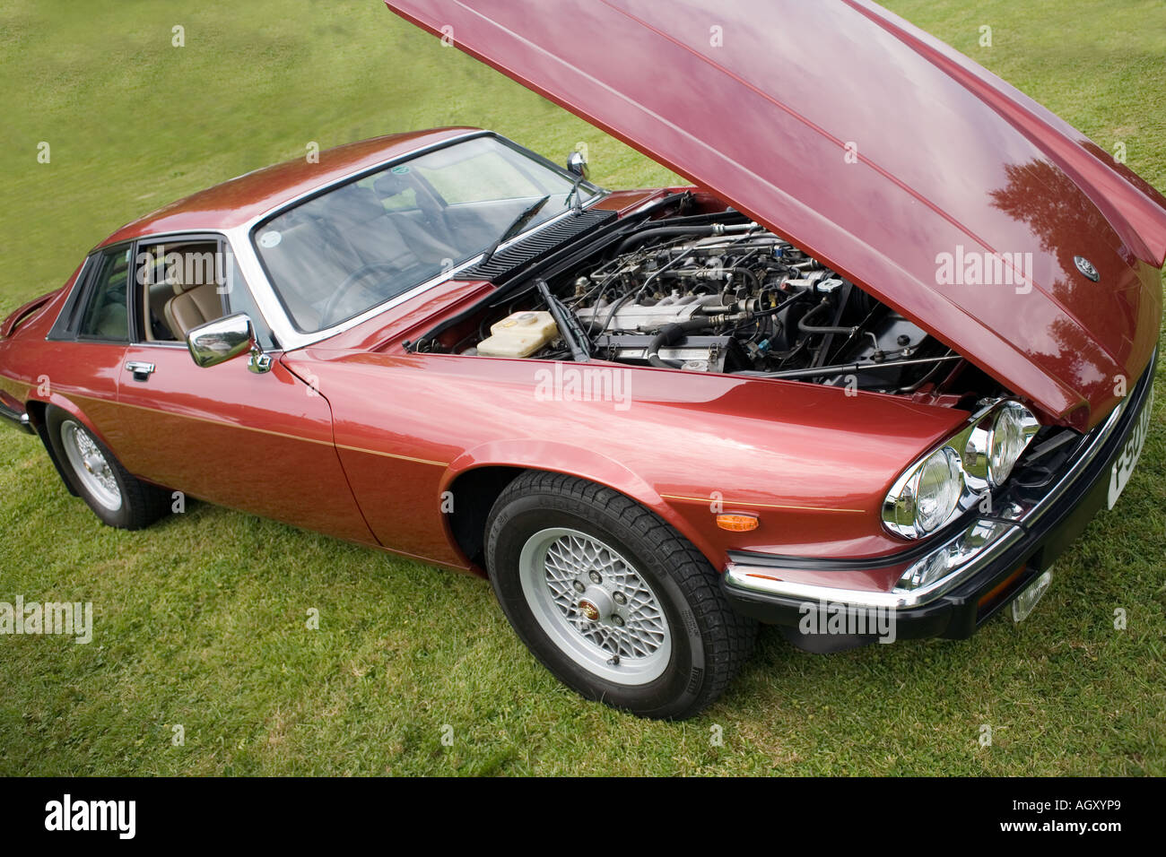 Jaguar XJS classic auto sportiva Foto Stock