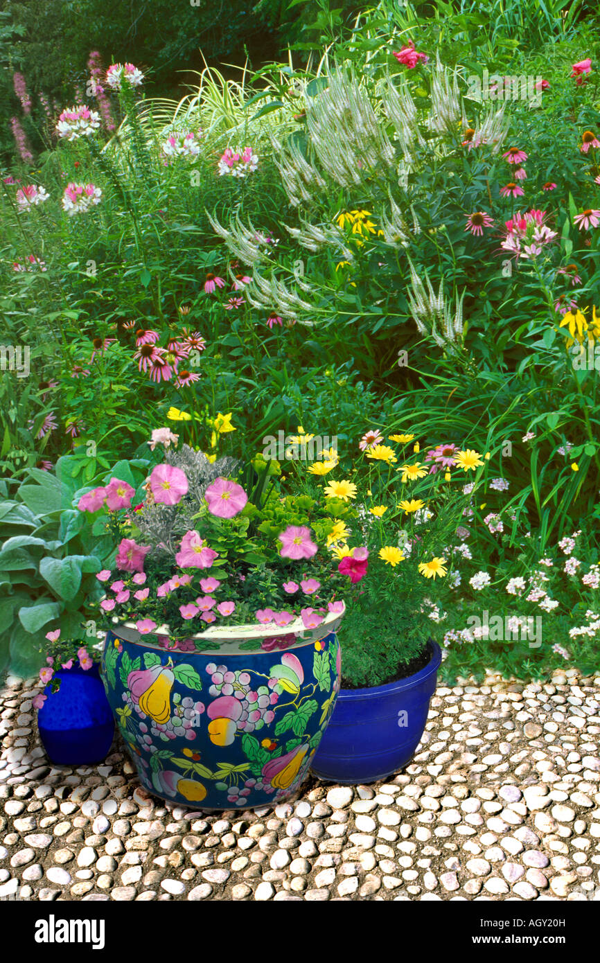 Di acciottolato bianco terrazza con grandi Oriental vasi di ceramica con colori corrispondenti al giardino di fiori selvaggi di rosa bianco e giallo Foto Stock