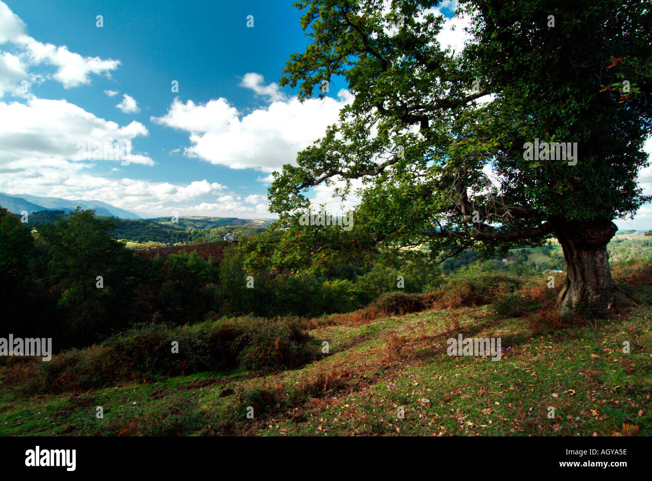 Paesaggio ai Pirenei vicino a Lourdes Hautes Pyrénées Francia Foto Stock