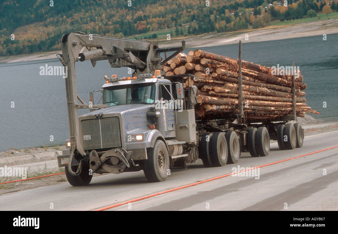 Il carrello di registrazione con pieno carico di tronchi di pini Vancourver isola in Canada Foto Stock