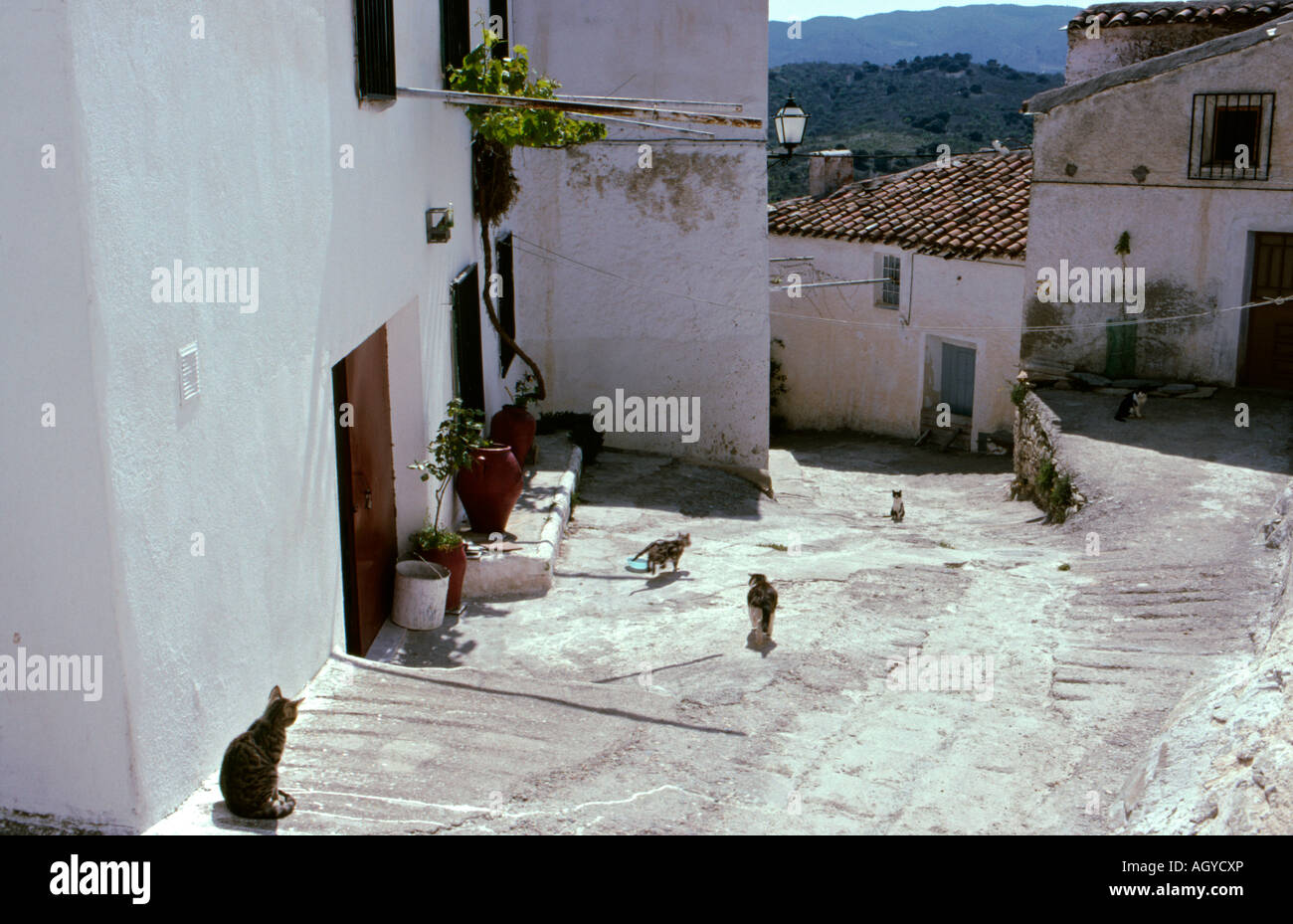 Il villaggio di Benitaglia nel cuore della Sierra de Los Filabres Almeria provincia sud della Spagna Foto Stock