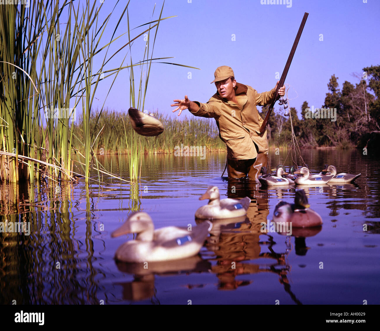 Uomo cacciatore di anatre esche immissione nel lago Foto Stock