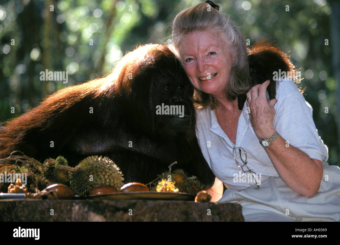 Il turista gode di prima colazione presso il Giardino Zoologico di Singapore con Orango Tango Foto Stock